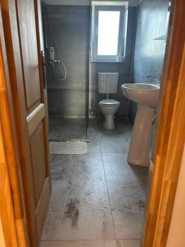 a bathroom with a toilet and a sink at Casa Miron in Dezmir