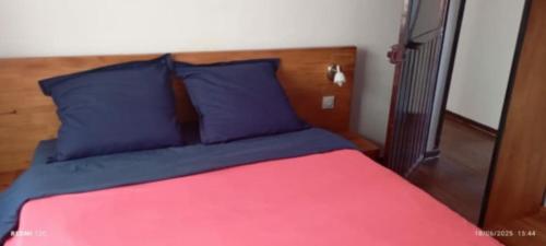 a bed with purple and blue pillows in a room at Antsaly Lodge in Anjomakely