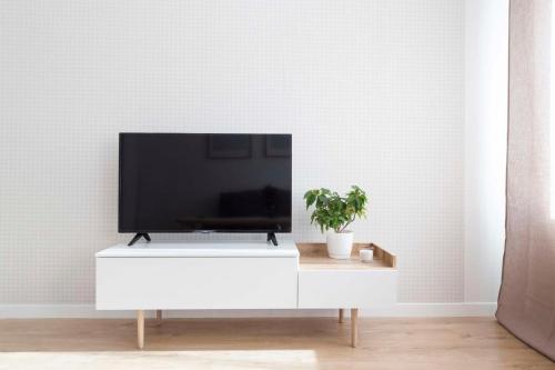 Mieszkania i pokoje w Gdańsku Wrzeszczu