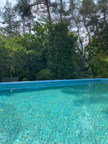 Πισίνα στο ή κοντά στο Holiday Villa Żuromino