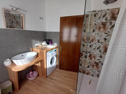 a bathroom with a sink and a washing machine at Dalla Nonna Ida, Casa Vacanze con Vista in Toscana in Sestino
