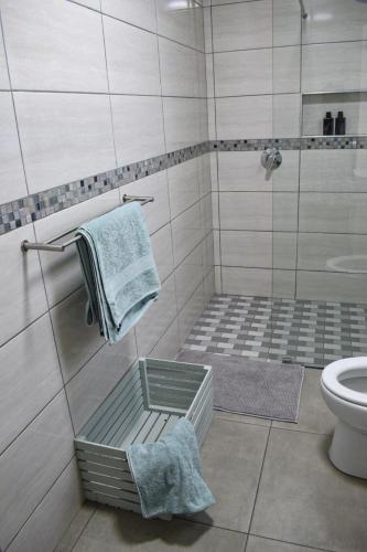 a bathroom with a shower with a sink and a toilet at Desert Nest II in Swakopmund