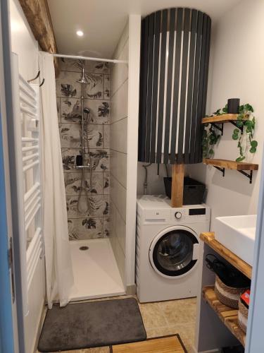 La petite salle de bains est pourvue d'un lave-linge et d'une douche. dans l'établissement Les bulles de Lys, 
