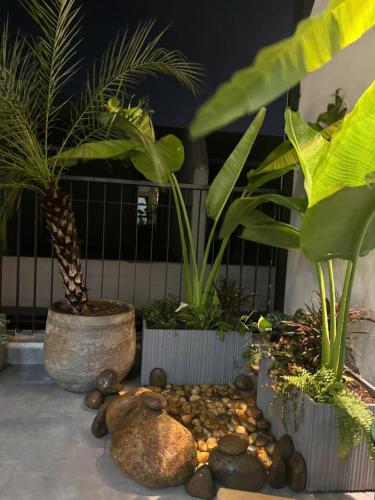 a group of plants and rocks in a garden at Hayden Home Ocean Park 3 in Ðình Loan