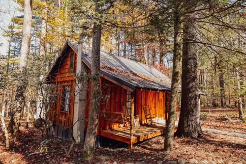 a small red cabin in the woods with trees at Summer Breeze cabin at Cabin Fever in NC in Saluda