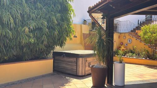 a wooden bench in a courtyard with plants at Los Jazmines in Agaete