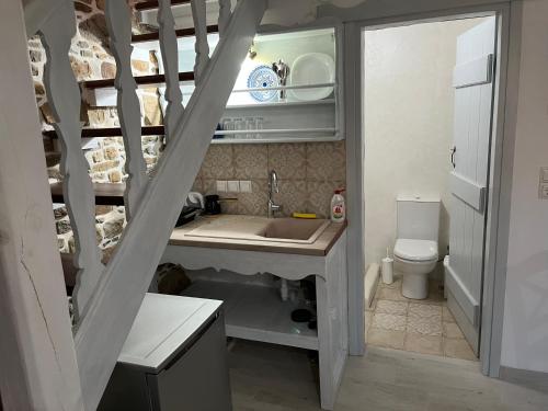 a small kitchen with a sink and a toilet at Rodakas Rooms-Pelagia in LivadhokhÃ³rion