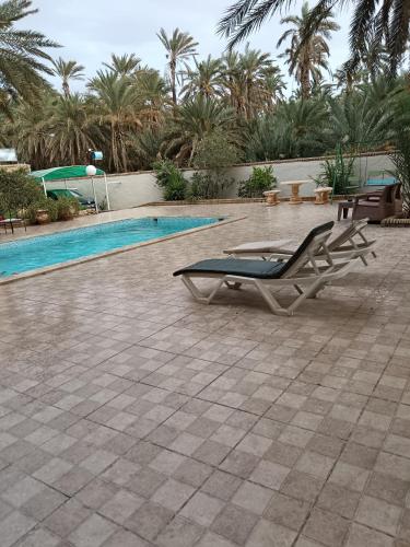 a chair next to a swimming pool with palm trees at Résidence Loued in Tozeur