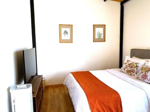a bedroom with a bed and a television in it at Your Cozy Corner in Oaxaca with AC in Oaxaca City
