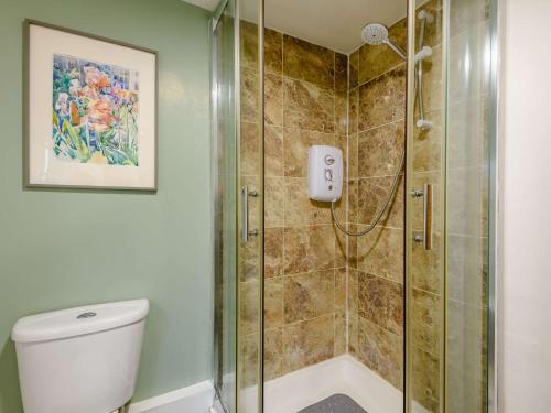 a bathroom with a shower and a toilet at 1 bed in Newport 86258 in Blackwater