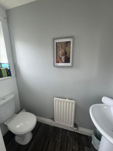 a bathroom with a white toilet and a sink at The Woodlands 3bed 2bath in Langley Park