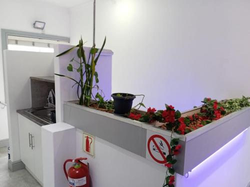 a shelf with flowers and plants in a kitchen at Camdene Guesthouse in Cape Town