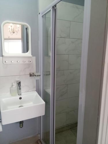 a bathroom with a sink and a shower at Camdene Guesthouse in Cape Town