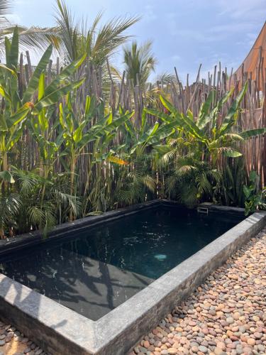 a small pond in a garden with palm trees at Casa Copal Troncones - Bungalows con Alberca Privada in Troncones