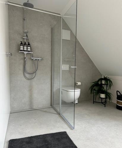a bathroom with a glass shower with a toilet at Emils City Suite in Vreden