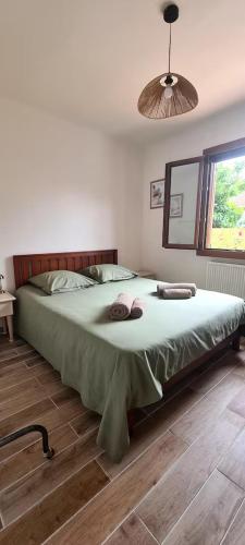 a bedroom with a large bed with a mirror at Canet Plage - Maison 3 chambres in Canet-en-Roussillon