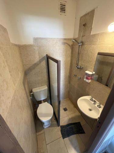 un baño con inodoro y lavabo en Luminoso y Cálido con Balcón a la calle, en Buenos Aires