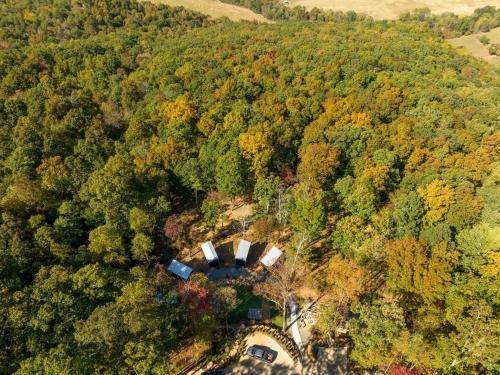 an aerial view of a forest with trees at The Atlas Cedar Treehouse at Treetop Escapes in Wildwood