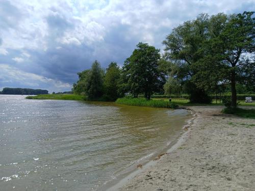 a body of water with trees on the shore at Safaritent 1 in Biddinghuizen