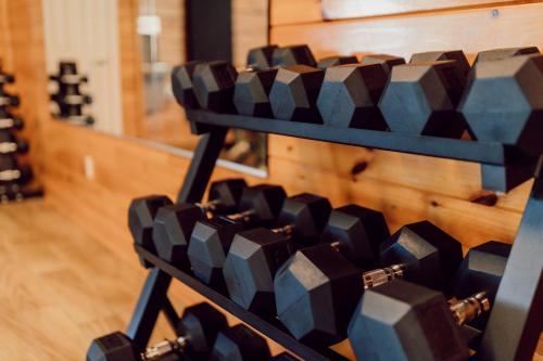 Fitness centrum a/nebo fitness zařízení v ubytování Tremont Lodge & Resort