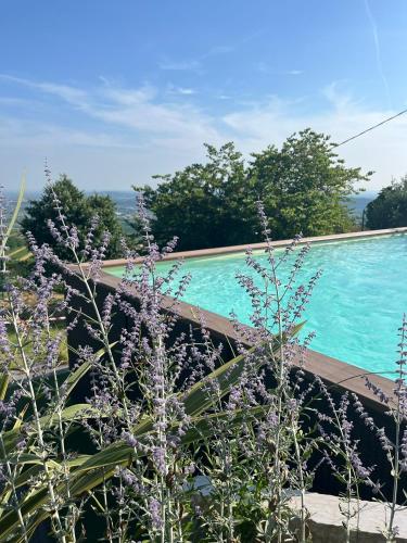 Bazén v ubytování Casa vacanze Conca d Oro nebo v jeho okolí