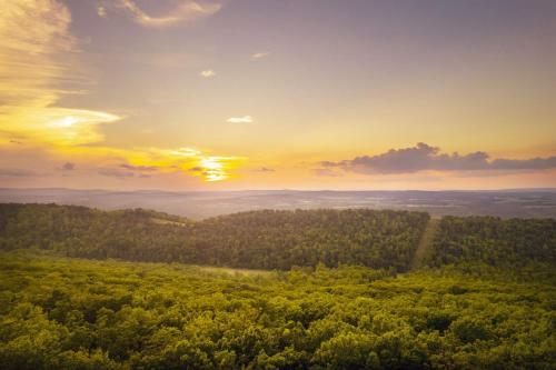 an aerial view of a forest at sunset at Cozy Chalet & Luxe Domes Retreat w Stunning Views in Augusta