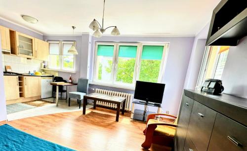 Apartament Mewa centrum