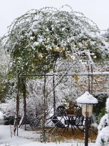 a tree covered in snow with a table and a lamp at Le Terre Basse in Codroipo