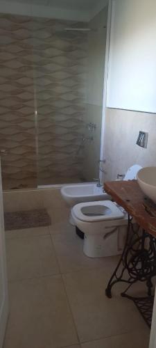 a bathroom with a toilet and a sink and a shower at Las Calandrias in La Cumbrecita