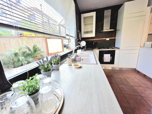 a kitchen with a counter with potted plants on it at Donna Rosa in Pagani