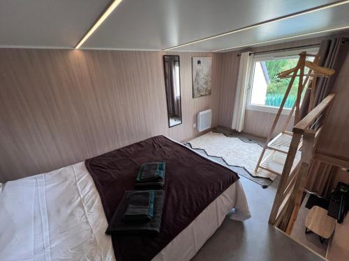 Tiny House Disney