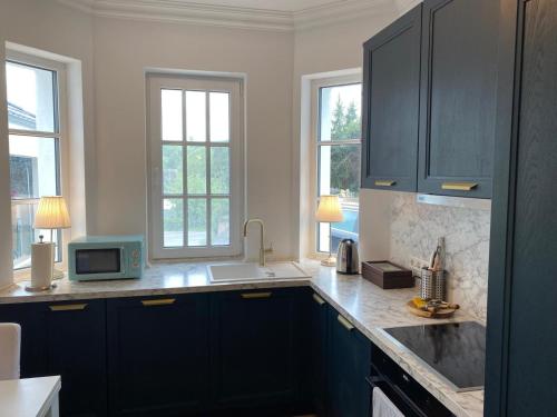 - une cuisine avec des placards bleus, un évier et des fenêtres dans l'établissement Eifel Hills, à Niederdürenbach