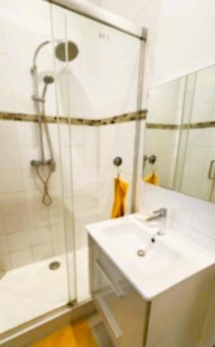 une salle de bain avec un lavabo et une douche dans l'établissement L'harmonie de Saint Lazarre 3, à Avignon