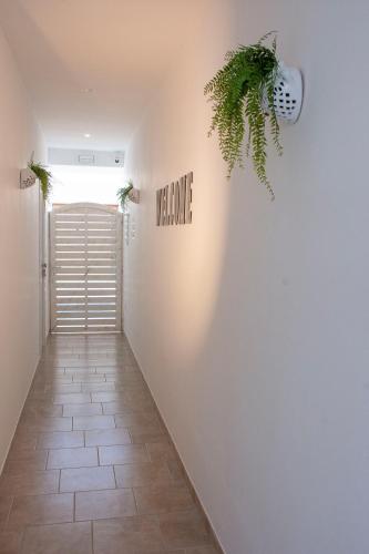 a hallway with a plant on the wall at Bed and breakfast Notti in Salento in Melissano
