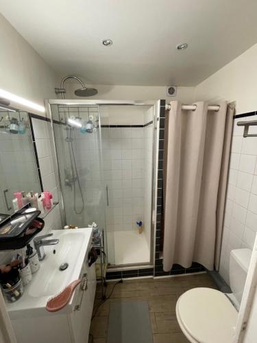une salle de bain avec une douche, un lavabo et des toilettes dans l'établissement Duplex calme avec clim, idéal pour flâner à Aix, à Aix-en-Provence