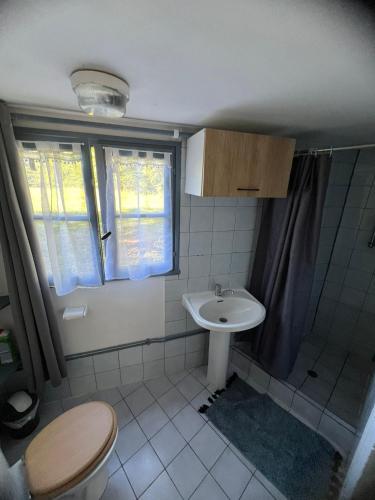 une petite salle de bain avec un lavabo et des toilettes dans l'établissement Gite de vacance perigord, à Saint-Aubin-de-Nabirat