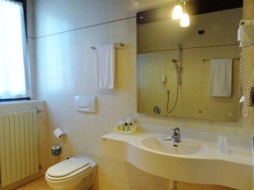 a bathroom with a sink and a toilet and a mirror at Hotel Excelsior Magenta in Magenta