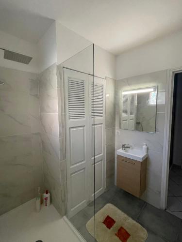 une salle de bain avec une douche, un lavabo et un miroir dans l'établissement T1 Centre ville Carré d'or proche plage, à Ajaccio