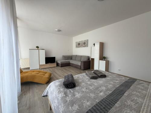 ein weißes Zimmer mit einem Bett und einem Sofa in der Unterkunft F25 Apartman in Pécs
