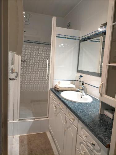 une salle de bain blanche avec un lavabo et une douche dans l'établissement Appartement en bord de mer, à La Londe-les-Maures