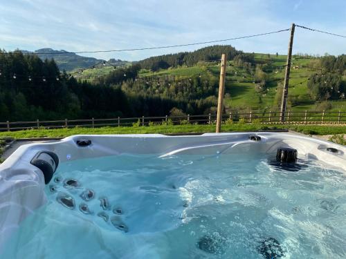 a jacuzzi tub with a view of a mountain at Le Domaine de la Source in Chauffailles