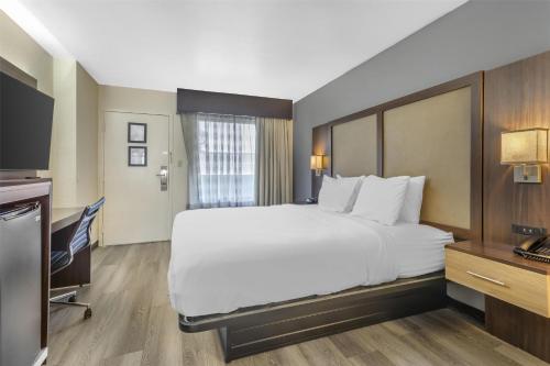 a hotel room with a large bed and a television at Best Western Salisbury Plaza in Salisbury