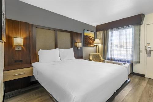 a large white bed in a hotel room at Best Western Salisbury Plaza in Salisbury