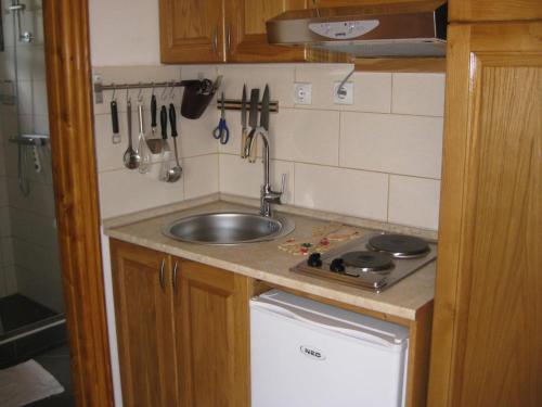 a small kitchen with a sink and a stove at Villa ALEA in Dobra Voda