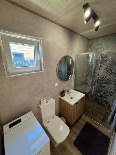 a bathroom with a toilet and a sink and a shower at H&Z Radawa Zosia in Radawa