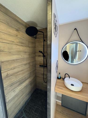 une salle de bain avec une douche avec un lavabo et un miroir dans l'établissement Joue du Loup Apartement 6 personnes, à Saint-Étienne-en-Dévoluy