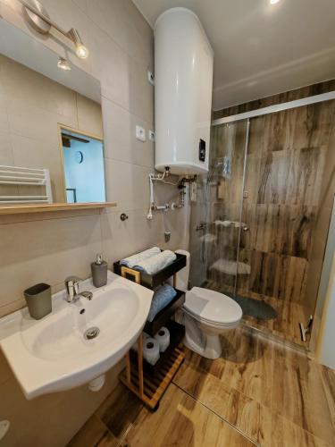 Un baño con lavabo, ducha e inodoro. en Villa Real Paradise, en Smižany