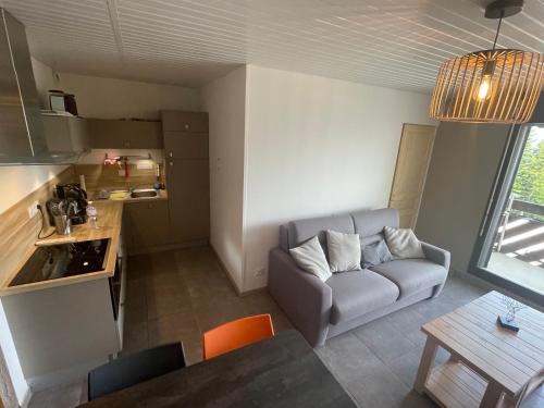 un salon avec un canapé et une table dans l'établissement L Évidence, 4 à 5 couchages, 1 chambre, cellier, Meublé de Tourisme 3 étoiles, vue dégagée, parking gratuit, à Chamrousse