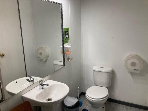 a bathroom with a toilet and a sink and a mirror at Hostal en Valdivia in Valdivia