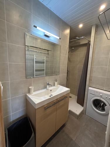 une salle de bain avec un lavabo et une machine à laver dans l'établissement L Évidence, 4 à 5 couchages, 1 chambre, cellier, Meublé de Tourisme 3 étoiles, vue dégagée, parking gratuit, à Chamrousse